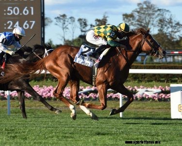 Eddie Mac’s Book: Belmont Weekend Offers Tempting Stakes