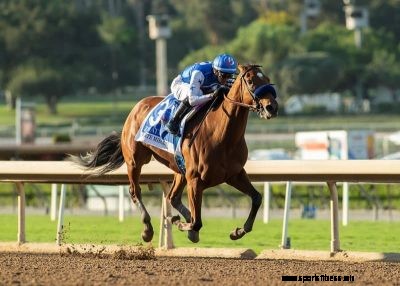 2021 Breeders’ Cup Distaff Contenders, Post Positions, Odds and Predictions