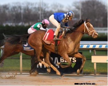 2021 Breeders’ Cup Distaff Contenders, Post Positions, Odds and Predictions