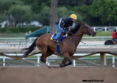 2021 Breeders’ Cup Distaff Contenders, Post Positions, Odds and Predictions