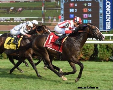 Handicapping the Breeders’ Cup: Dealing With So Much Data, So Many Angles