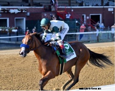 Breeders’ Cup: Classic Finish Shaping Up for BC Classic