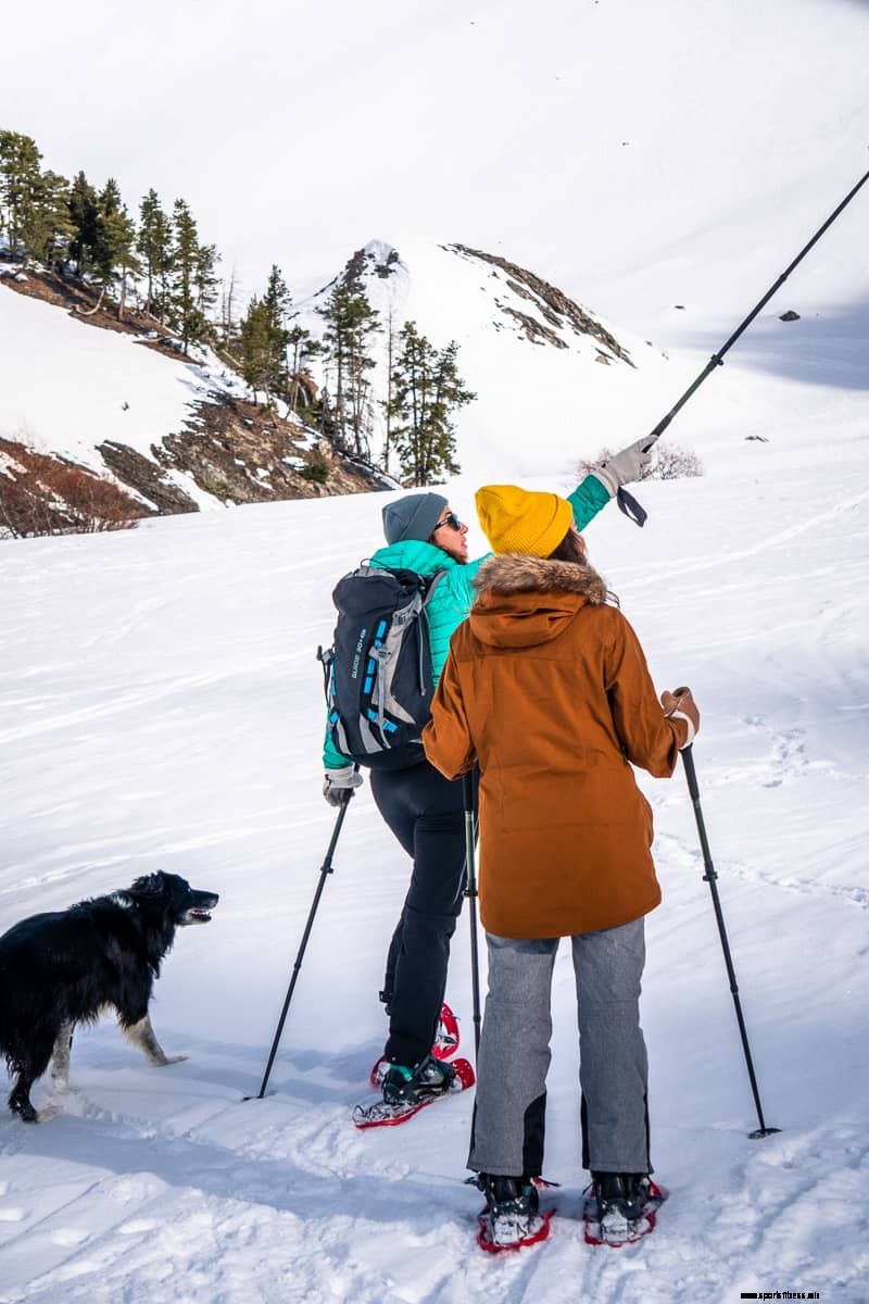 Snowshoeing in Le Monetier-Les-Bains, Serre Chevalier