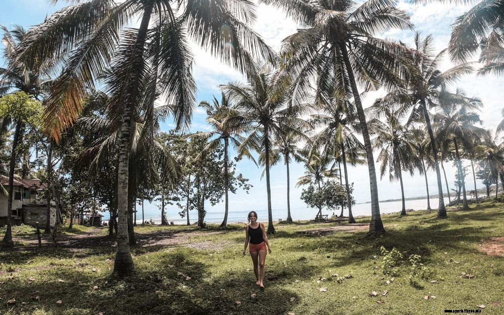 Your Medewi Surfing Guide: Discover Bali’s Longest Left-Hander