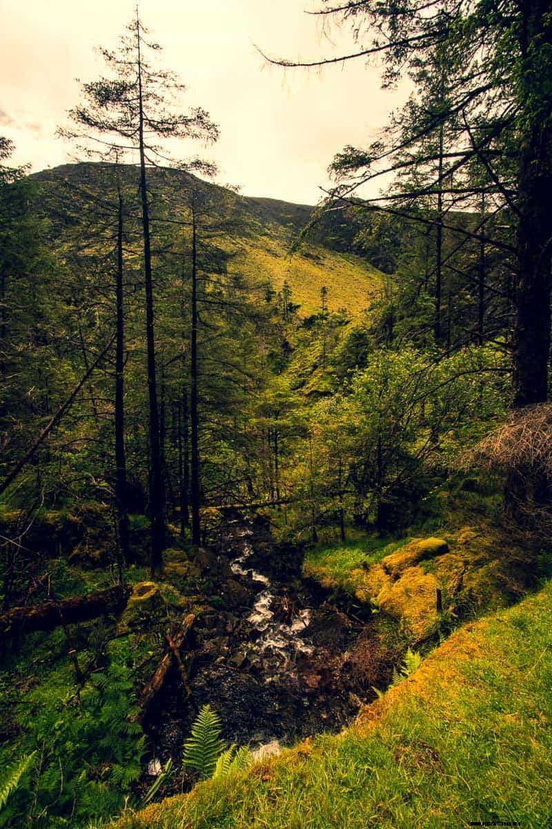 Gougane Barra: Where to Hike, Cycle & Stay in Cork’s Magical Forest