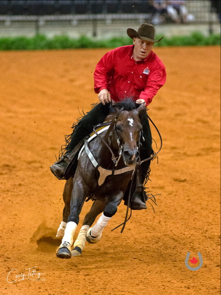Canadian Reiners Make Top 10 in WEG Team Competition