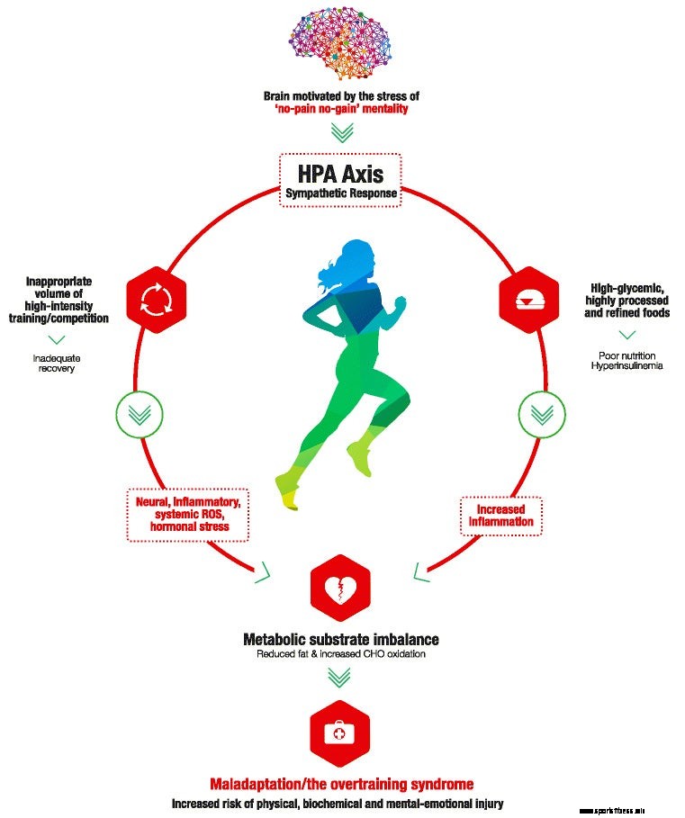 Can Fit Athletes Really Be Unhealthy?