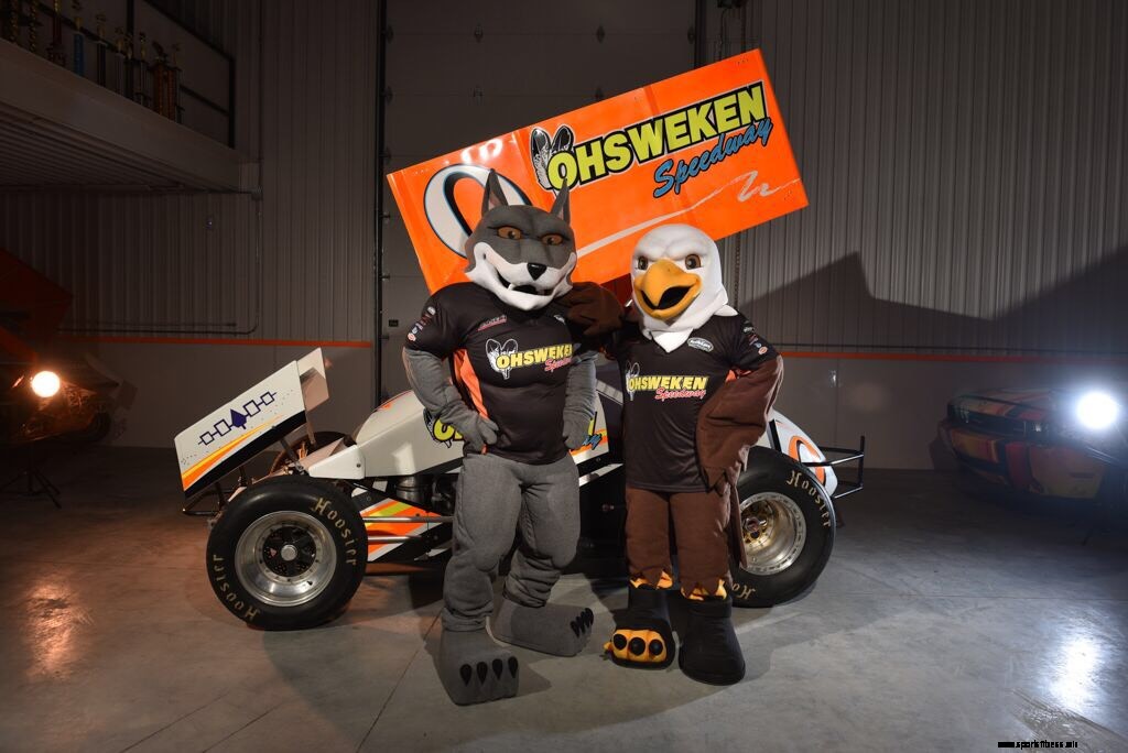 Beginners Guide to Vector Art: An Essential Part of Designing Your Mascot