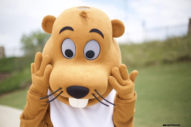 4 Tips for Designing the Perfect Mascot