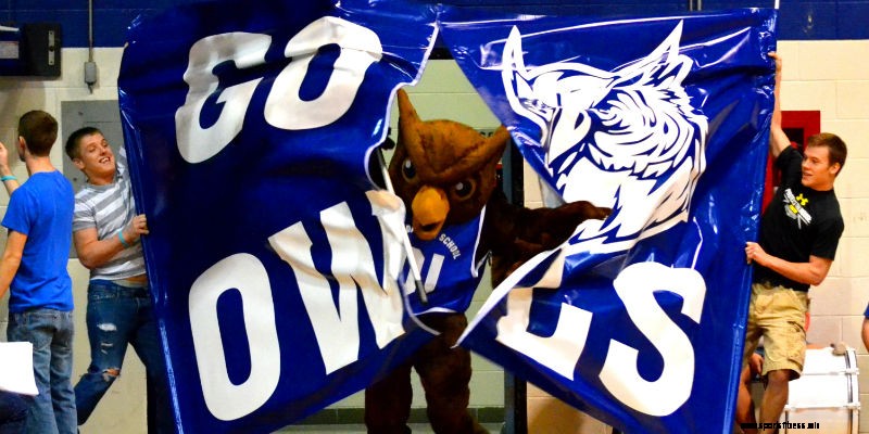 Our Most Popular Mascot Marketing Insights in 2019