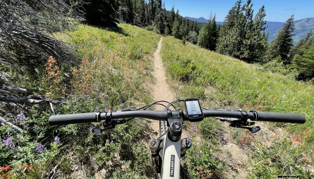 Showers Pass Apex Bike Shorts – Adventure Gravel Ride Essentials