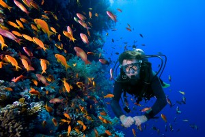 Cinque fantastiche località per il PADI Divemaster Training 