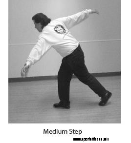medium step