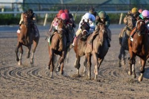 Szwajcarski spadochroniarz próbuje zostać pierwszą klaczą, aby wygrać Blue Grass 