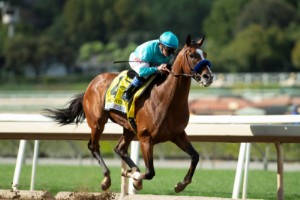 Haskell Stakes Draw:Autentisk 4-5 favorit i Field of 7 