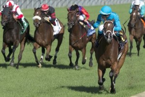 O Canada:Big Saturday of Stakes Betting hos Woodbine 