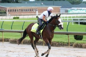 Tiz the Law Skipping Preakness; Breeders  Cup Classic Up Next for Belmont, Travers-vinder 