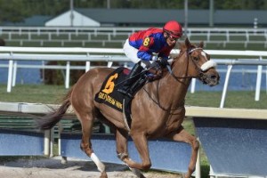 Preakness Odds 2020:Kan et hoppeføl vinde Pandemic Preakness? 