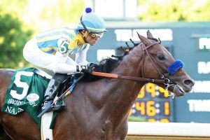 Preakness Stakes 2020 Horse Profile:Excession 