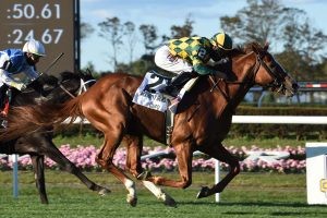 Hollywood Derby:Clement holder stærk hånd med dekoreret Invader, Gufo 