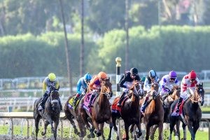 Eddie Macs topp 10 Eclipse Award Champions 