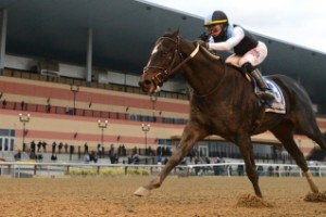 Хендикап на Санта Анита:стар, но все пак добър 