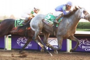 Livro de Eddie Mac:Essential Quality The One To Beat In Jim Dandy 