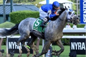 Breeders  Cup Classic Anwärter, Quoten und Post-Position:Essentielle Qualität 