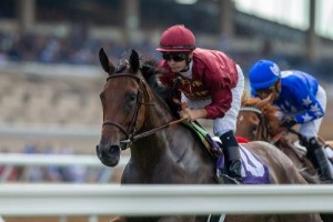 2021 Breeders  Cup Distaff Contenders, odds og postposition:Shedaresthedevil 