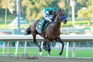 Der Farrell-Bericht:Flightline erhebt sich nach Malibu Romp . zum Star 