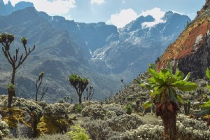 Beyond Kilimanjaro – Fem af de største bjerge i Afrika 