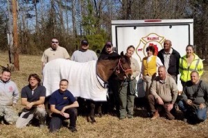 Rescue Me Part 3:More Happy Endings for Hapless Horses 