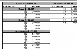 STAMPE PÅ E-KVALIFISERINGSRUNDENE PROSJERT UTBETALING OVER 250 000 USD 
