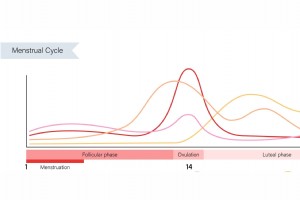 Periodesporing for kvindelige atleter