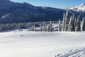 Klatreskinn – G3 Alpinist+ Glide